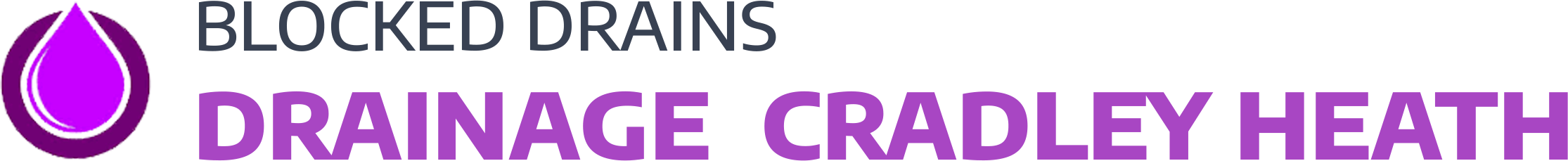 website logo
